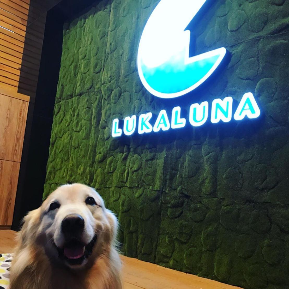 Luka Luna B&B T'ai-tung 外观 照片